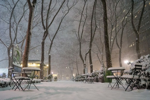 new york snow